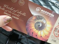 -青岛贝壳博物馆