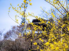 -九如山休闲旅游度假区