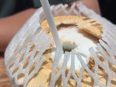 -春润大地海南椰子鸡(沙井京基百纳广场店)