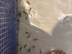 -水晶之星洗浴温泉汗蒸