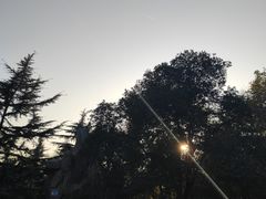 -西安市纺织公园