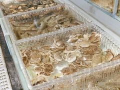 -山海经·海边人家 海鲜新青岛菜(扬州路店)