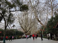 -杭州黄龙洞