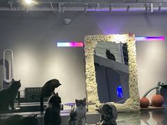 -极木²邸 人与宠物·互动社区
