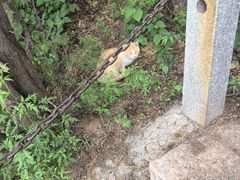 -北京凤凰岭