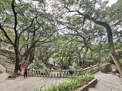 -乌山风景区