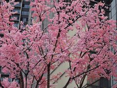 -首开·龙湖成都西宸天街