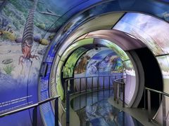 -房山世界地质公园博物馆