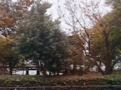 -台场海滨公园船码头