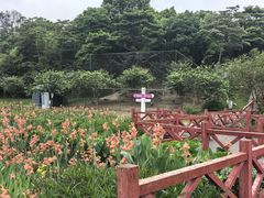 -广州市石门国家森林公园