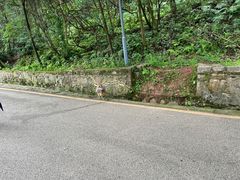 -黔灵山公园