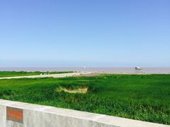 -南汇嘴观海公园