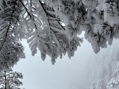 -瓦屋山景区