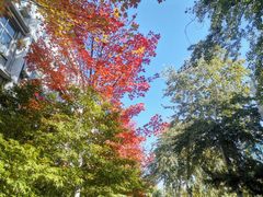 -北京理工大学(中关村校区)