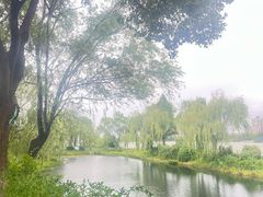 -金银湖国家城市湿地公园