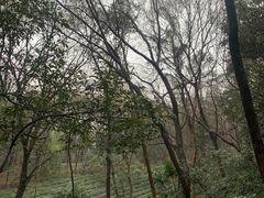 -杭州黄龙洞