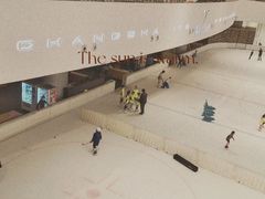 -TheRink大零溜冰场(IFS国金中心店)