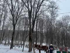 -亚布力新体委滑雪场