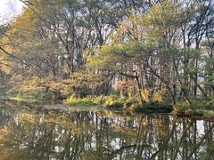 -西溪南古村落