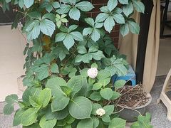 -鱼乐岛餐厅·户外花园主题餐厅
