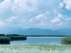 -野鸭湖国家湿地公园