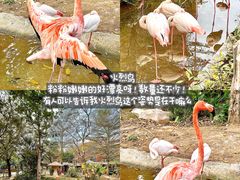 -灵玲国际马戏城
