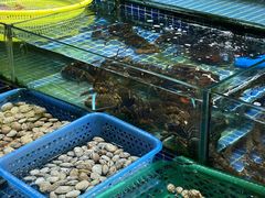 -板桥海鲜广场(文明东店)