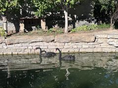 -三里河公园