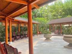 -碧水湾温泉