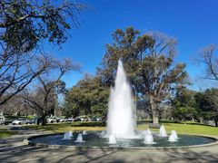 -墨尔本皇家植物园