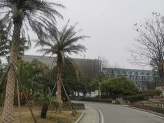-洪湖悦兮半岛国际温泉度假村