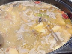 -野菌皇海景野生菌火锅(滨海大道店)