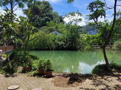 -靖西鹅泉风景区