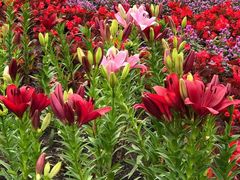 -长春公园(普阳街道)