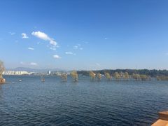 -洱海月湿地公园
