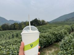 -白茶原·一片叶子