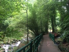 -四洞沟景区