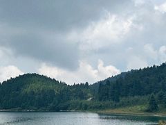 -武陵山森林公园