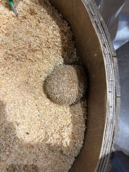 -Zoolung Zoolung动物主题公园(海信广场店)