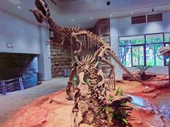 -自贡恐龙博物馆