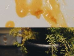 -沈灶河豚宴·河豚融合餐厅(汉中路店)