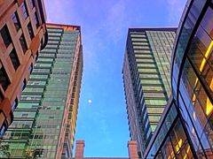 -罗汉果龙眼冰糖燉冬瓜