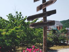 -北马山庄植趣咖啡