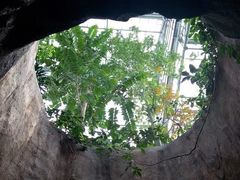 -南山植物园