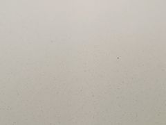-老胖串店(浆水泉路店)