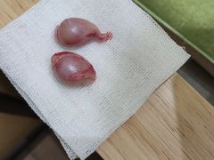 -派联宠物医院·24h·CT·异宠