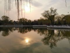 -丰台花园