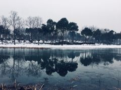 -尚贤河湿地