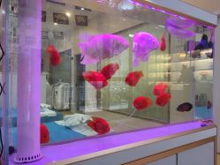 -痘庄科学祛痘国际连锁机构