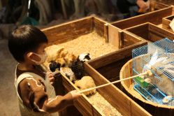 -酷嗒动物文化乐园(cutezoo西溪乐天城店)